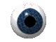 aa40.gif (11975 Byte)